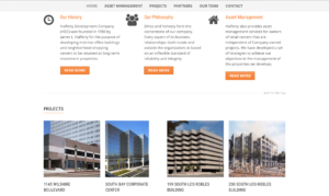 Real Estate Development Website Design